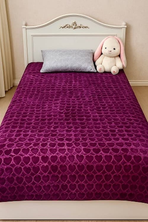 تصویر 3 از عرضه پتو تیسا دونفره قلبی نیمه سبک و قابل حمل